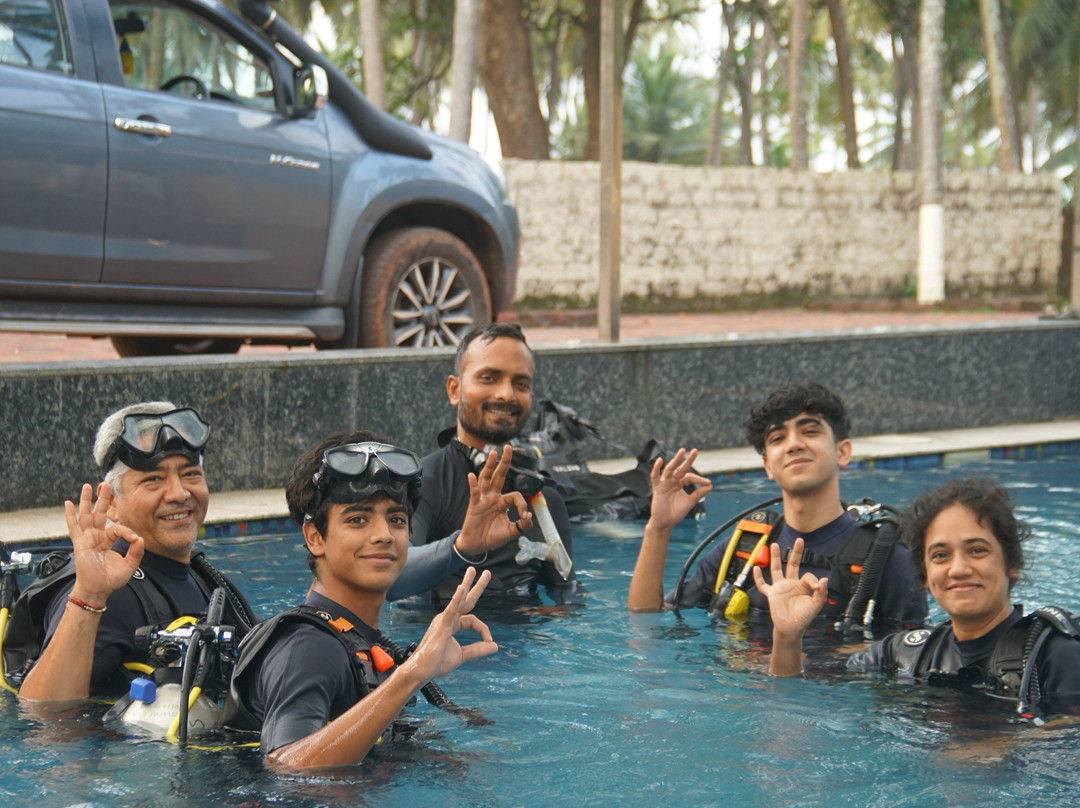 Divers Of Vingoria景点图片
