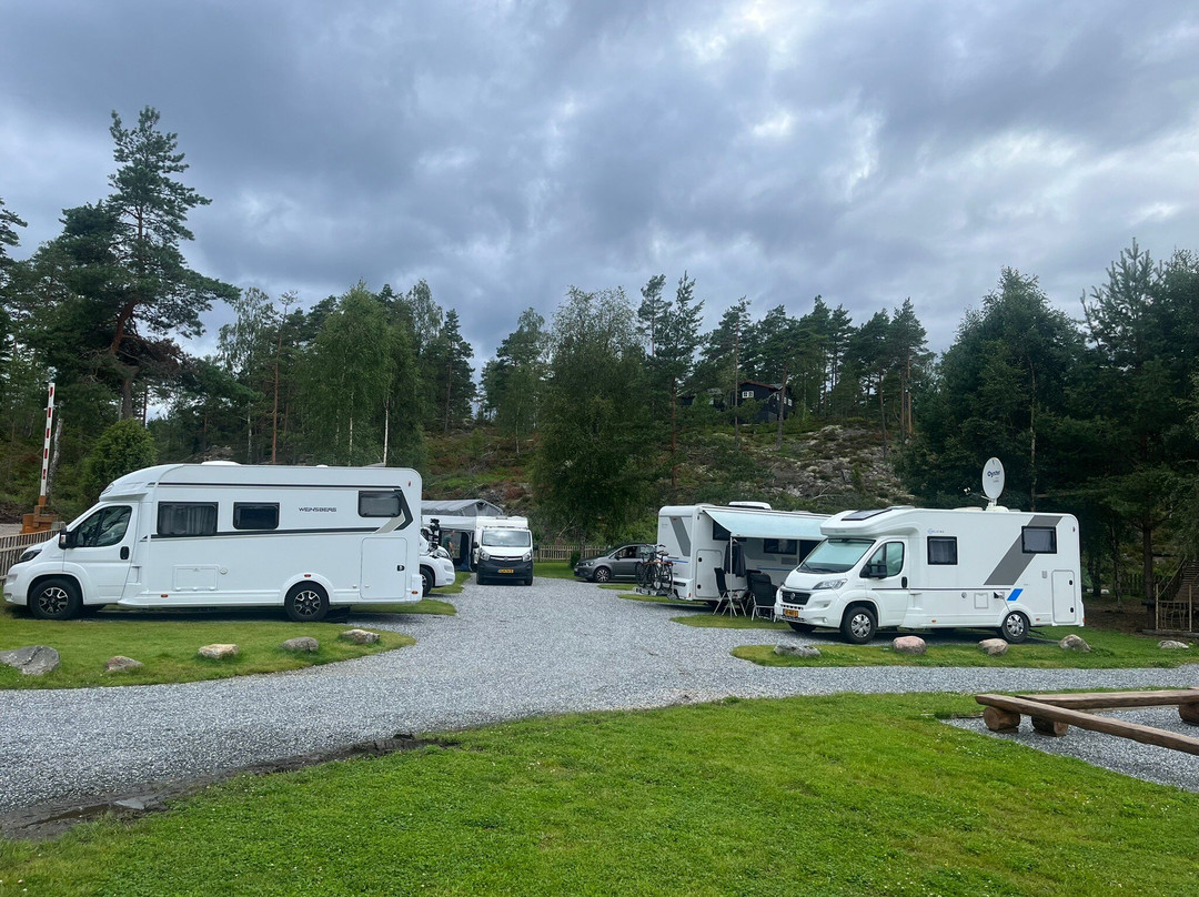 Buerskogen
