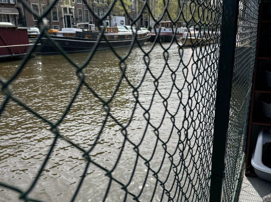 De Poezenboot景点图片