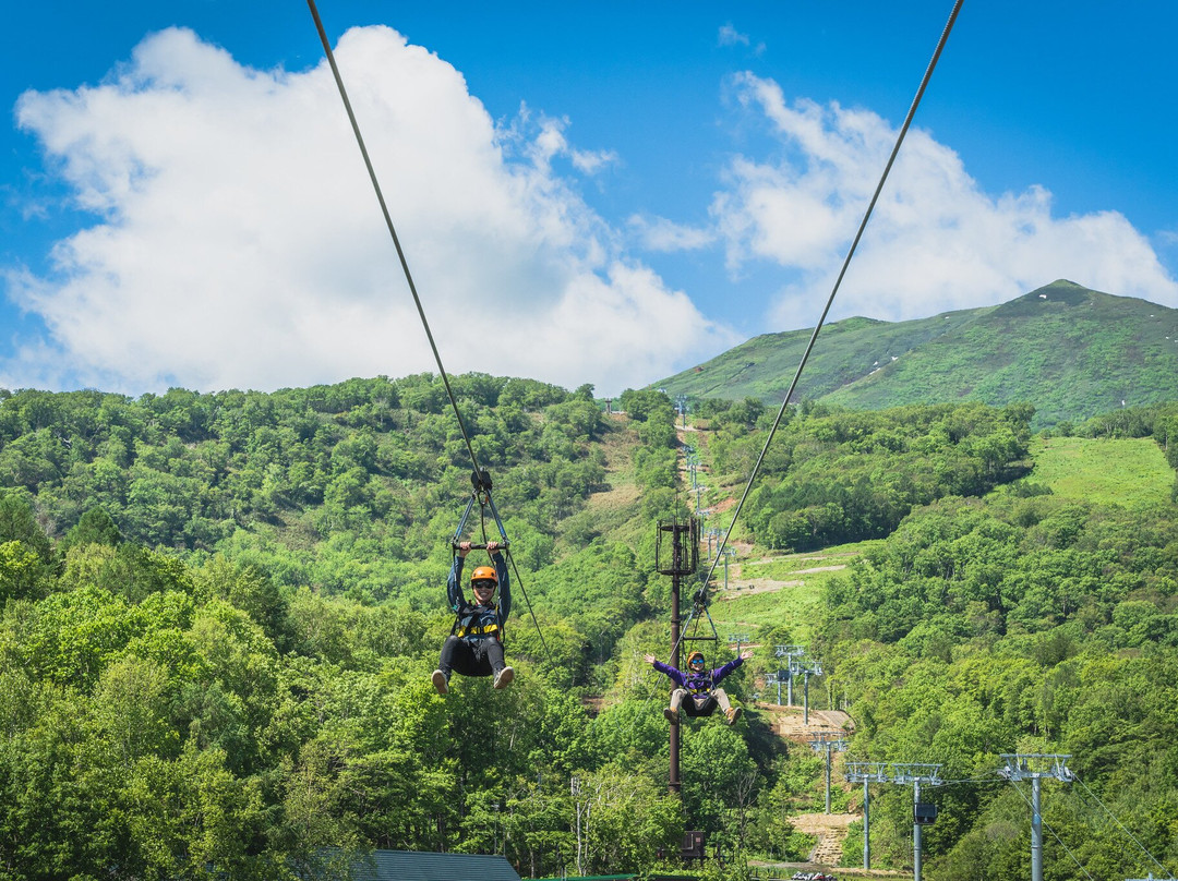 Hanazono Adventure Park-俱知安町必去景点