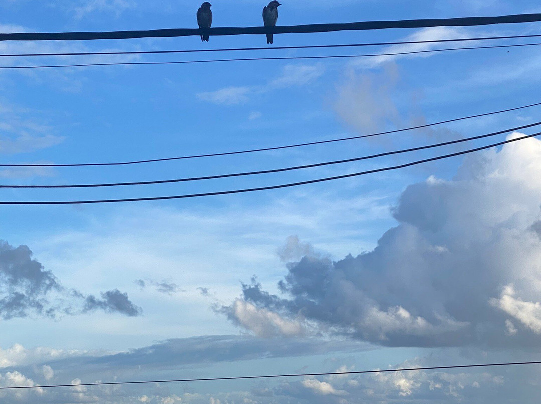 Pousada Luar das Aguas主图