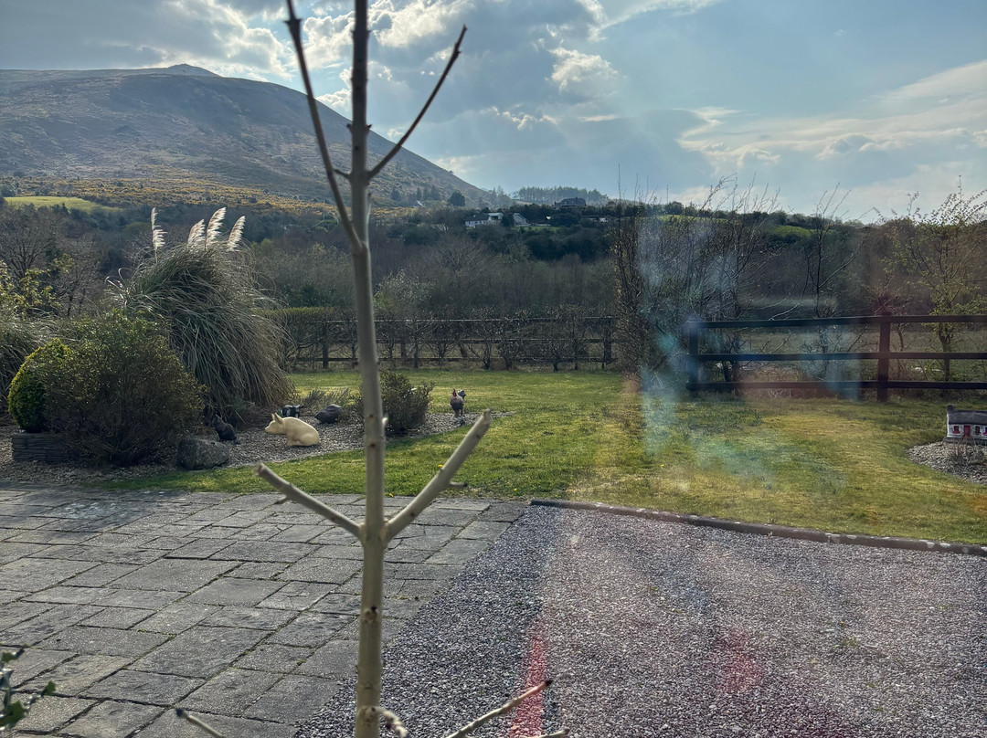 The Ferris Wheel B&B主图