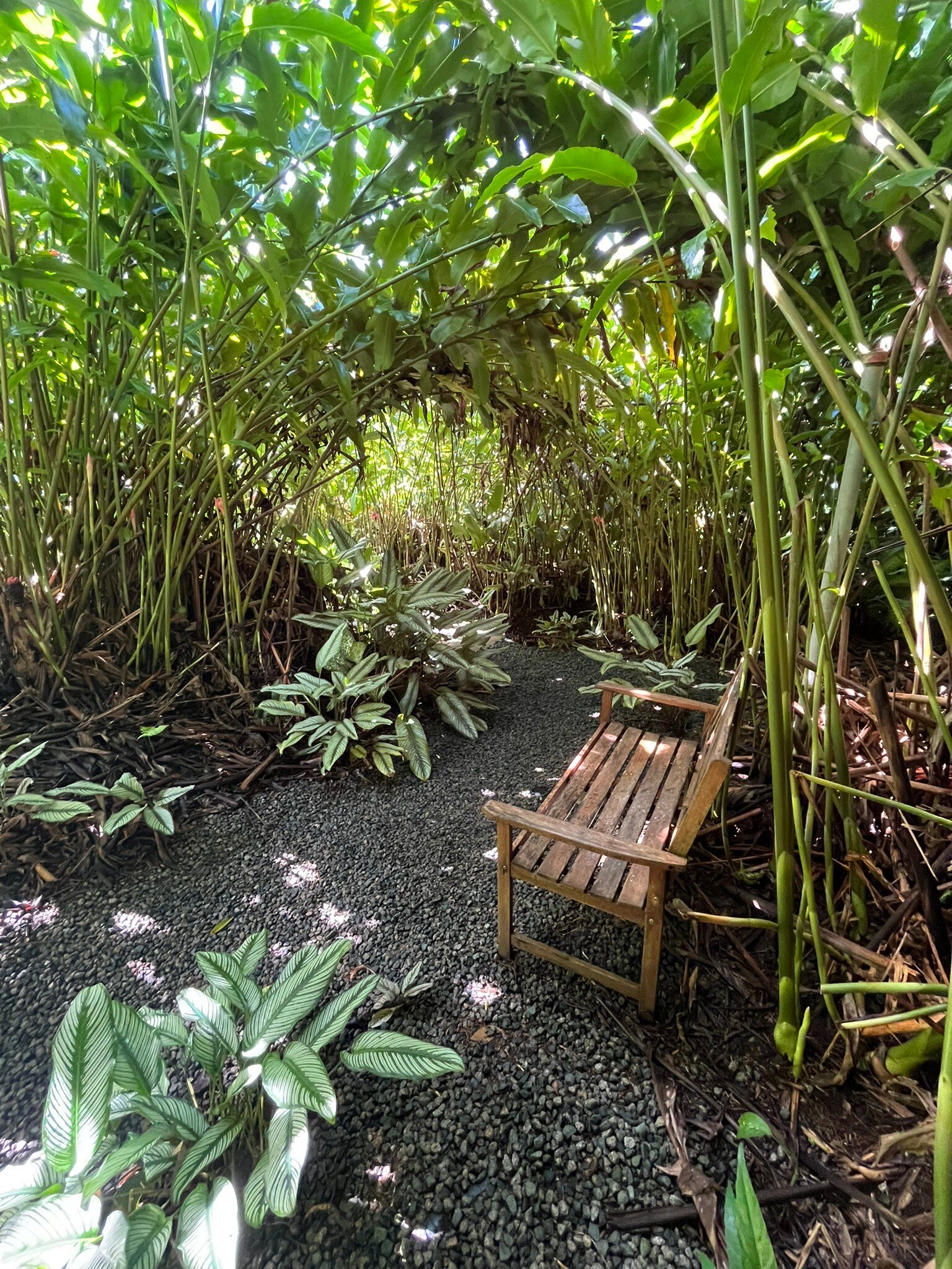 Kot Man-Ya Exotic Flower Garden用户实拍