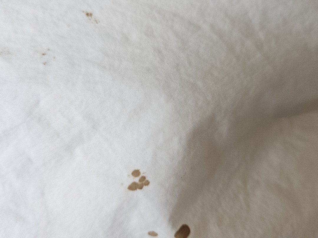 LOTTE L7 江南主图