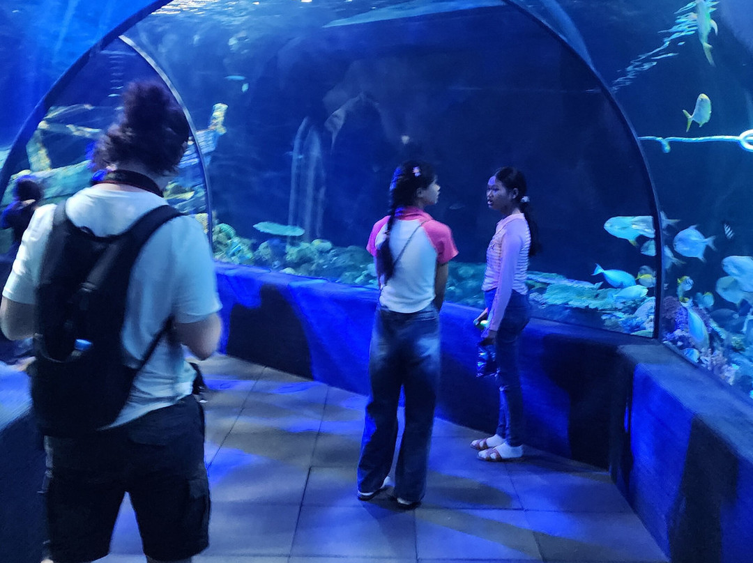 Angkor Wildlife & Aquarium景点图片
