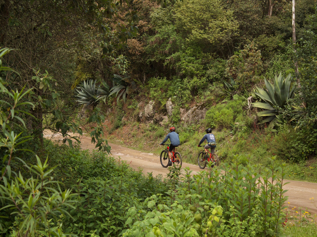 Bike Flow Oaxaca - Bike tours & rentals景点图片