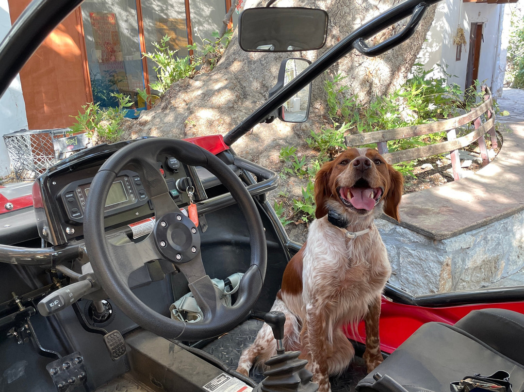 Buggy safari in Koutsouras by Rocket Adventures景点图片