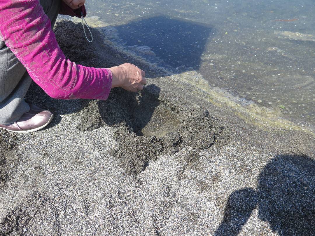 屈斜路湖砂湯-弟子屈町必去景点