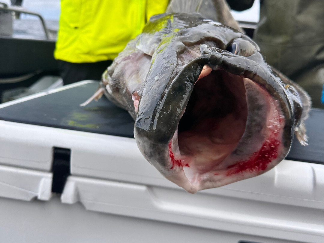 Sitka Fishing Excursions景点图片