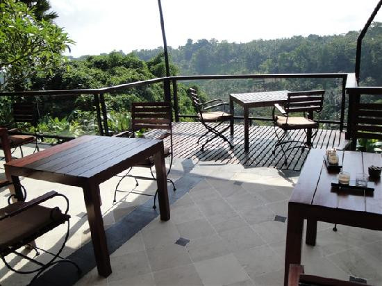 巴龙蝴蝶度假村主图