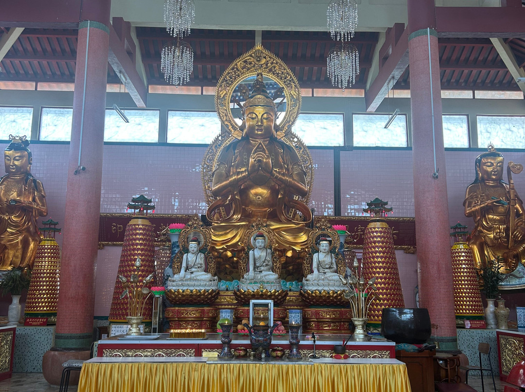 Discover Camerons景点图片