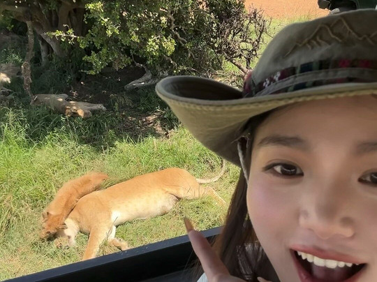 Wildlife Sun Safaris-蒙巴萨必去景点