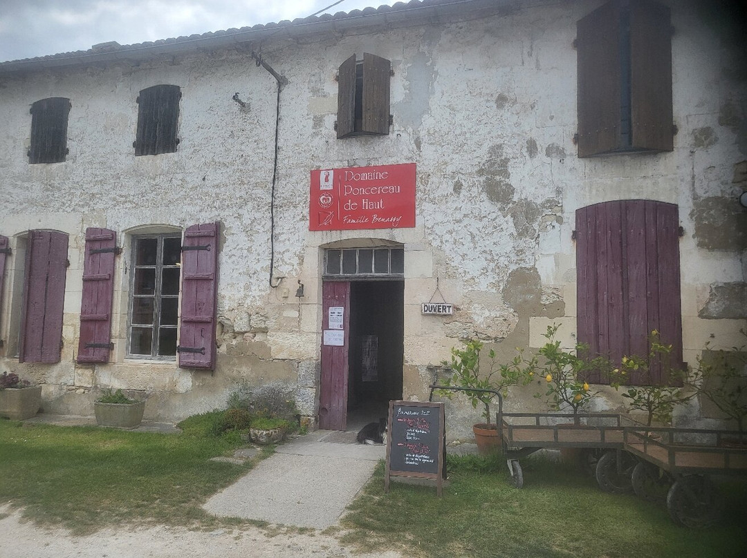 Domaine Poncereau de haut景点图片