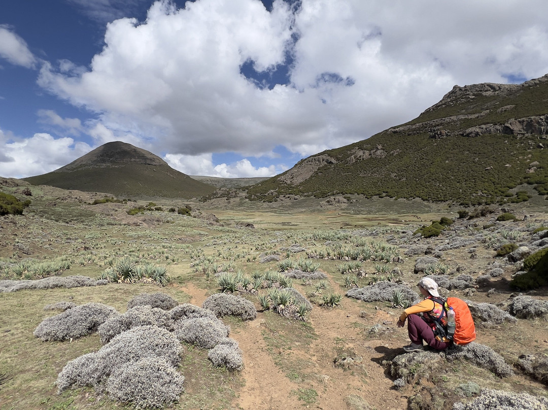 Bale Mountains Tours-Bale Mountains National Park必去景点