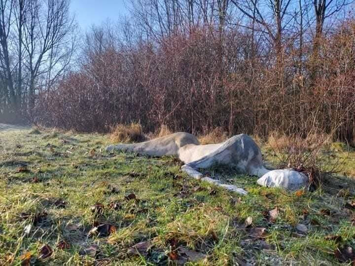 Medlock Valley Sculpture Trail-曼彻斯特必去景点