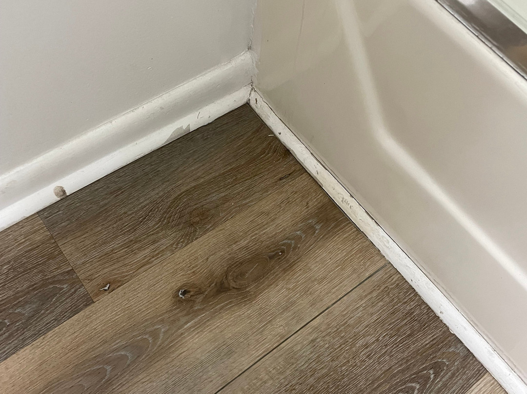 The Beach House主图