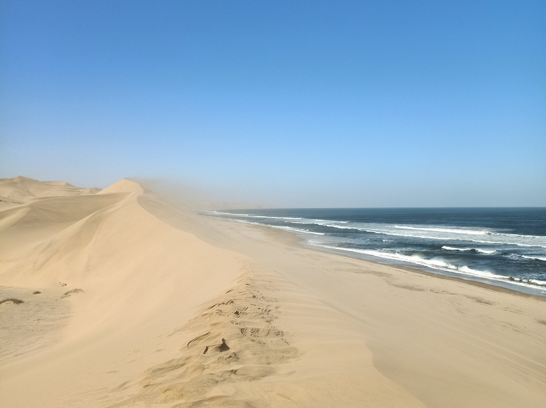 Turnstone Tours-斯瓦科普蒙德必去景点