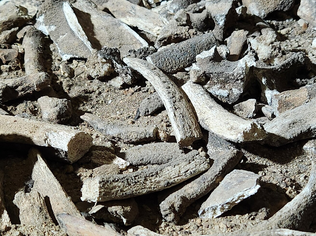 Gruta Da Marota-Andarai必去景点