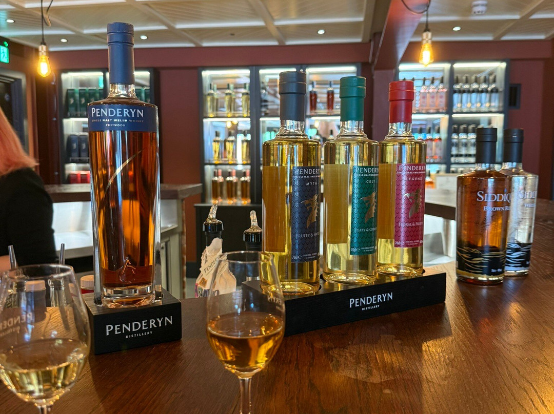 Penderyn Swansea Copperworks Distillery景点图片