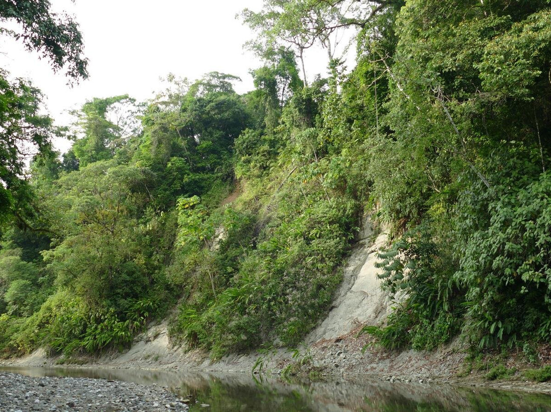 Puerto Jimenez De Puntarenas Costarica景点图片