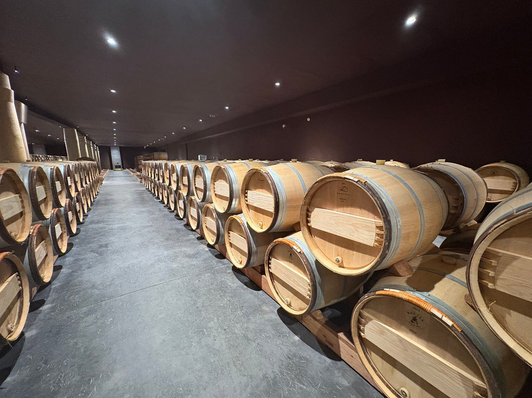 Château Pichon Baron景点图片