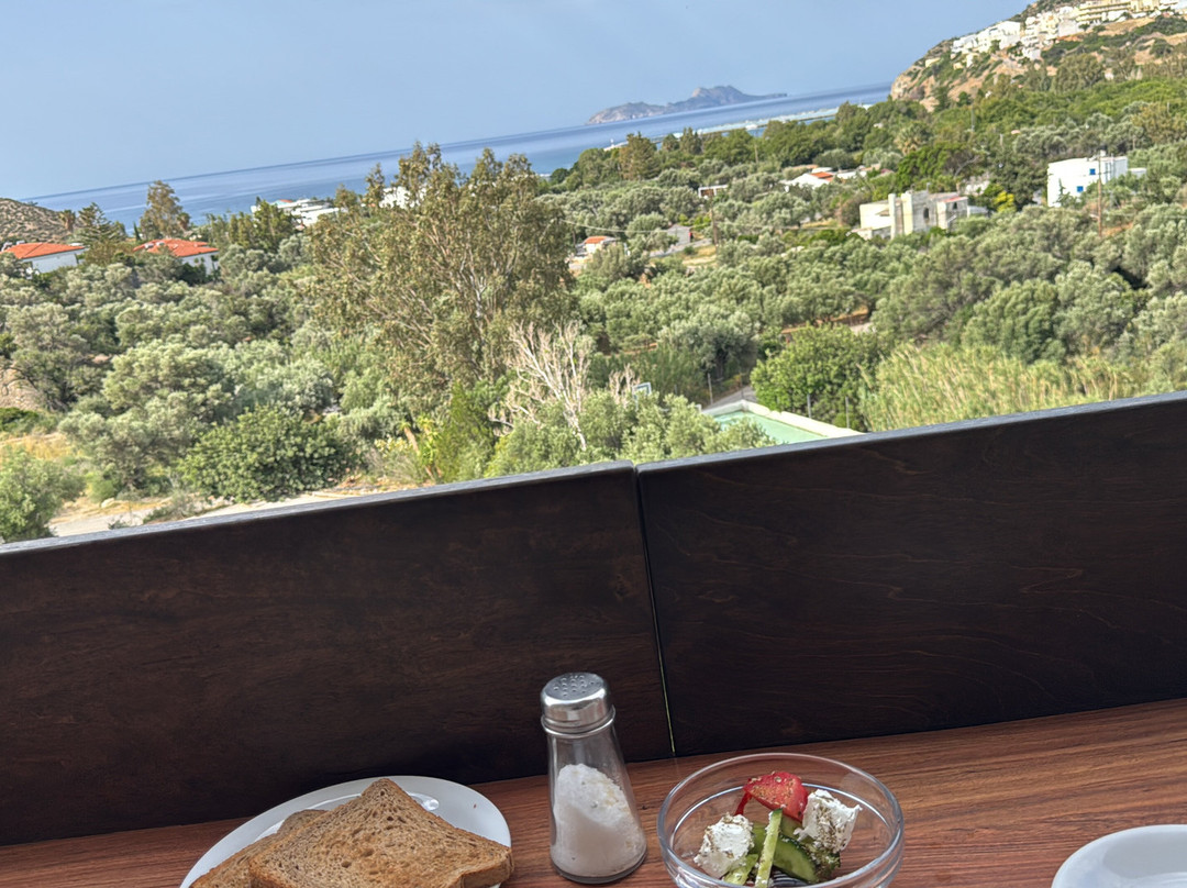 Paralos The Maxine主图