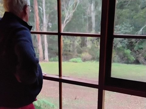 Black Spur Inn主图