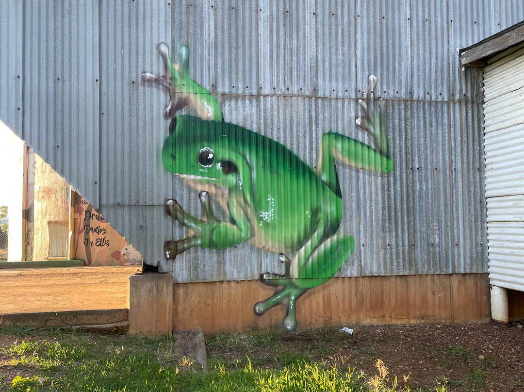 Silo Art Dunedoo-Dunedoo必去景点
