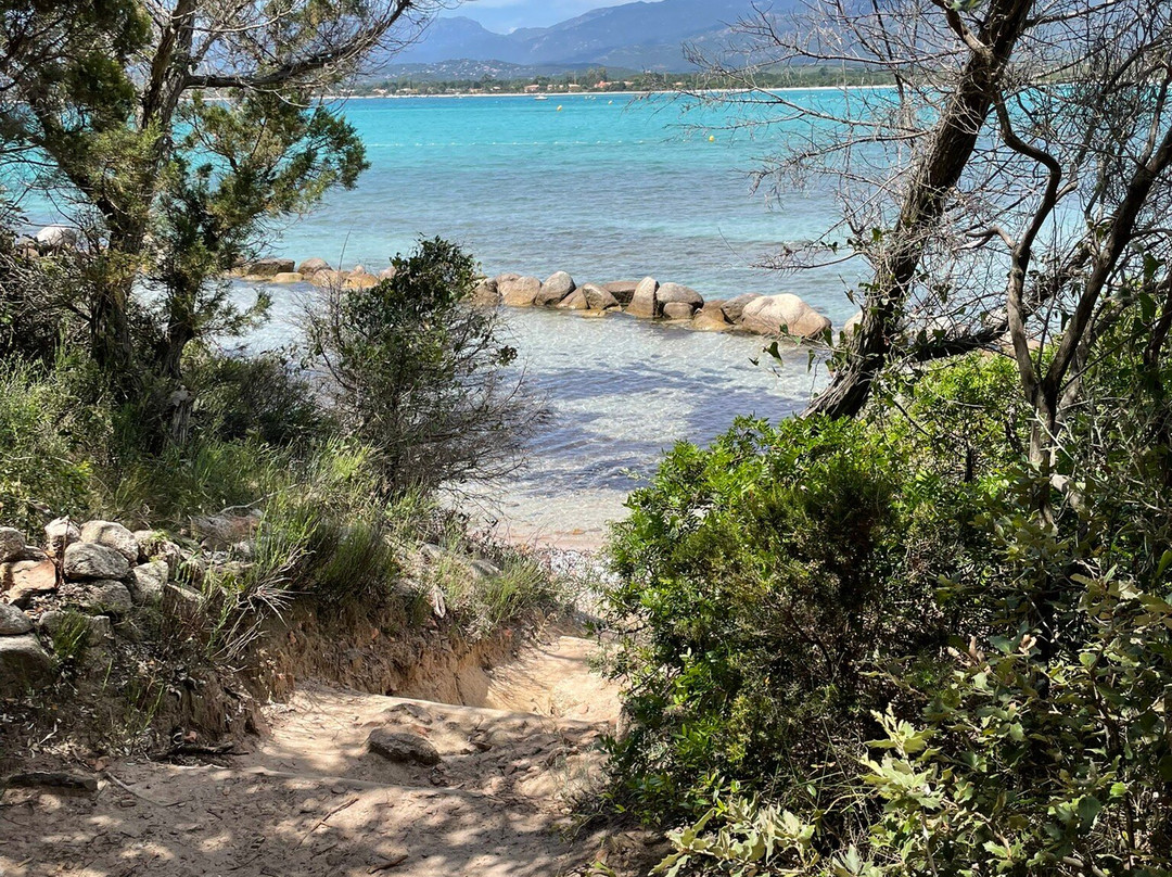 Plage Saint-Cyprien-维琪奥港必去景点
