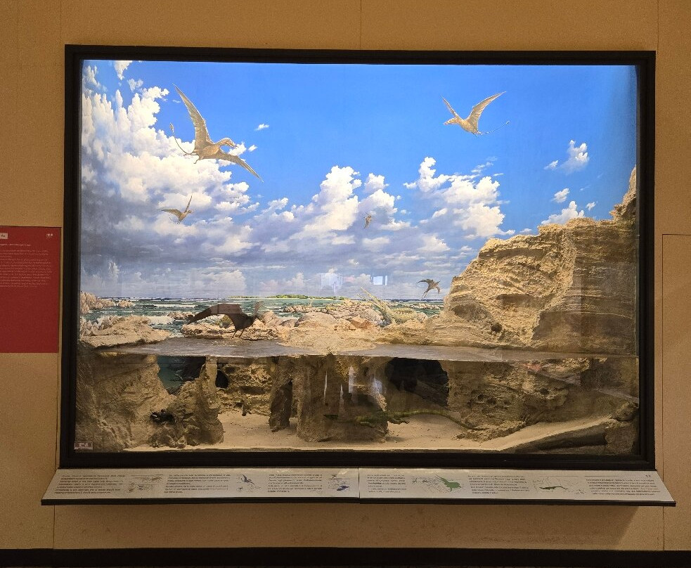 Museo di Scienze Naturali "E. Caffi"景点图片