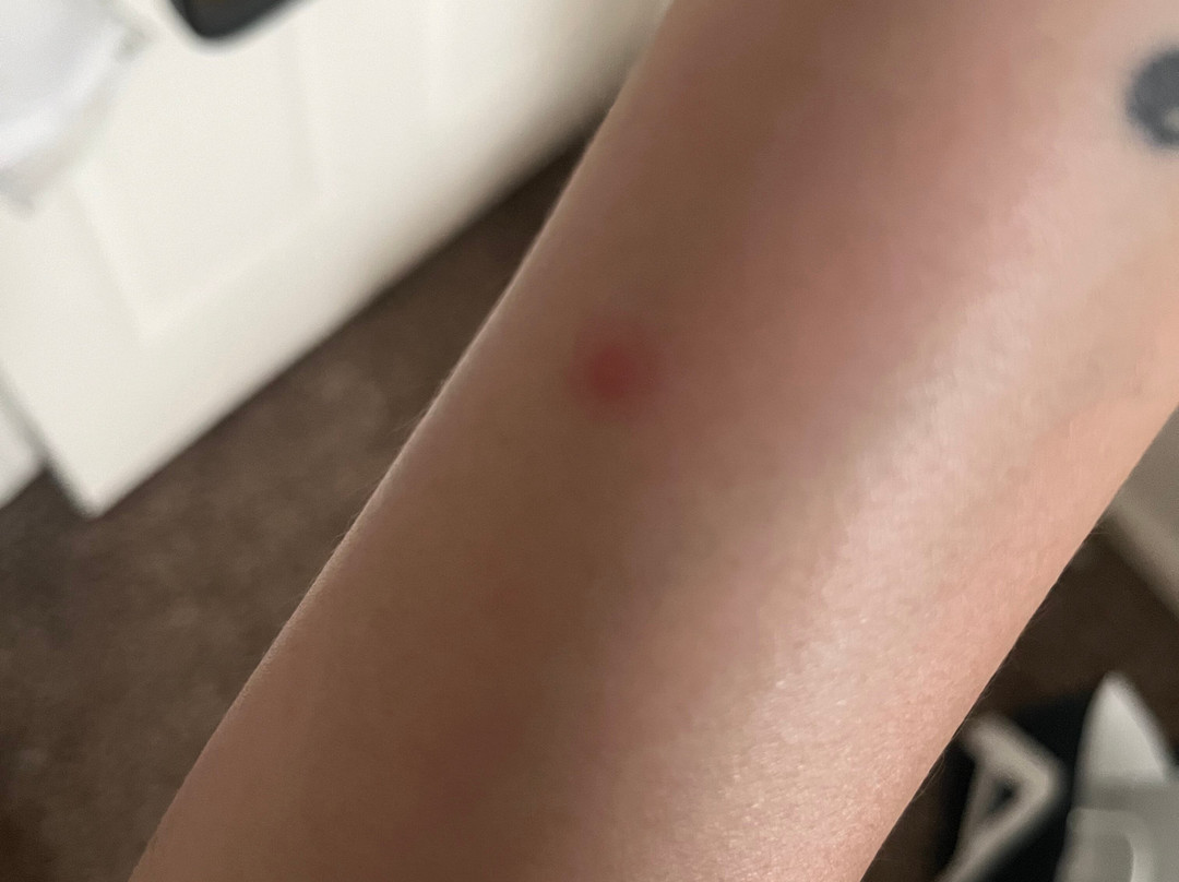 Candlewood Suites Boston North Shore - Danvers by IHG主图