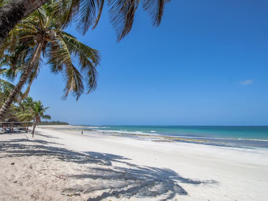 Jungle Empire Africa-蒙巴萨必去景点