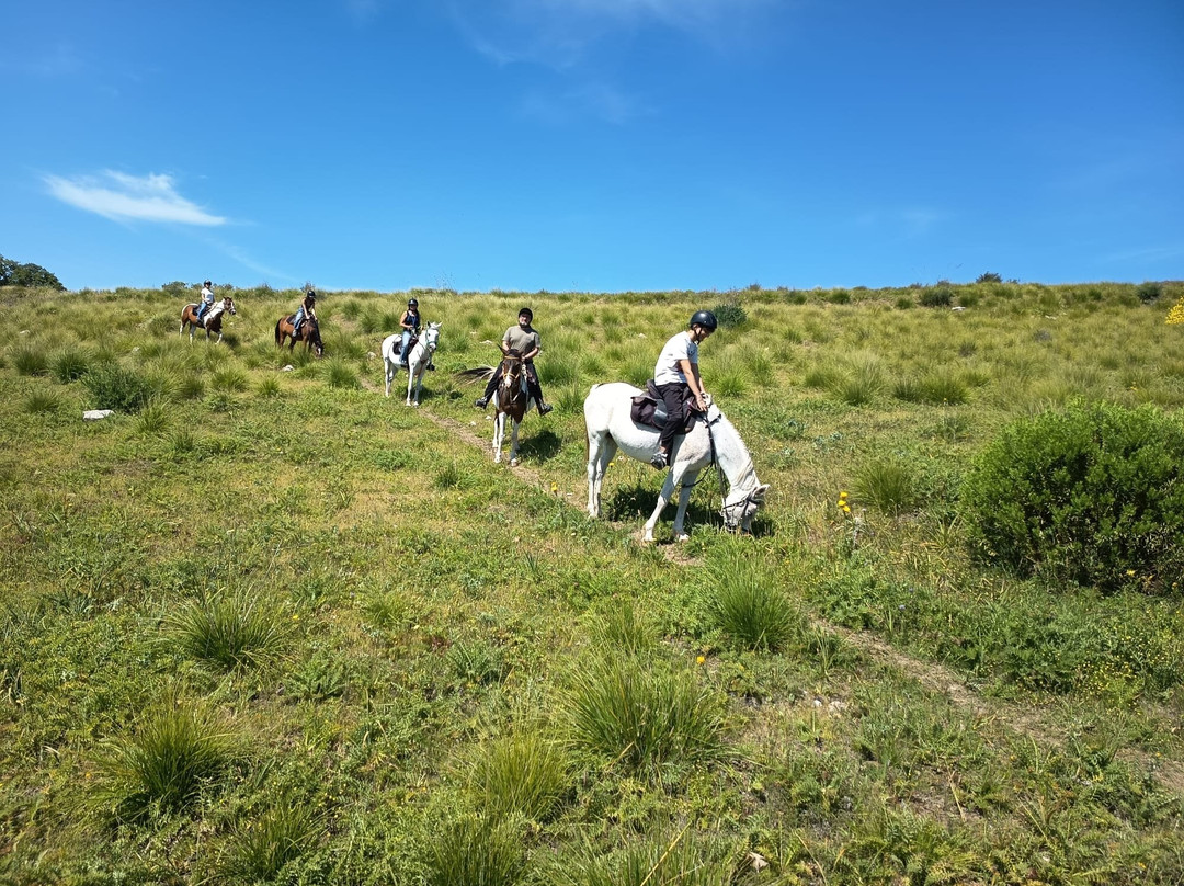 Horse Trekking Sicily景点图片