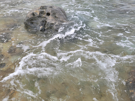 Coral Cove Park-Tequesta必去景点