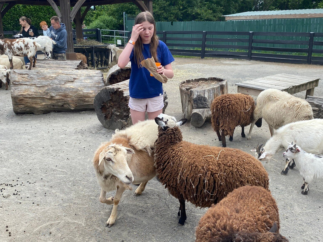 Leesburg Animal Park景点图片