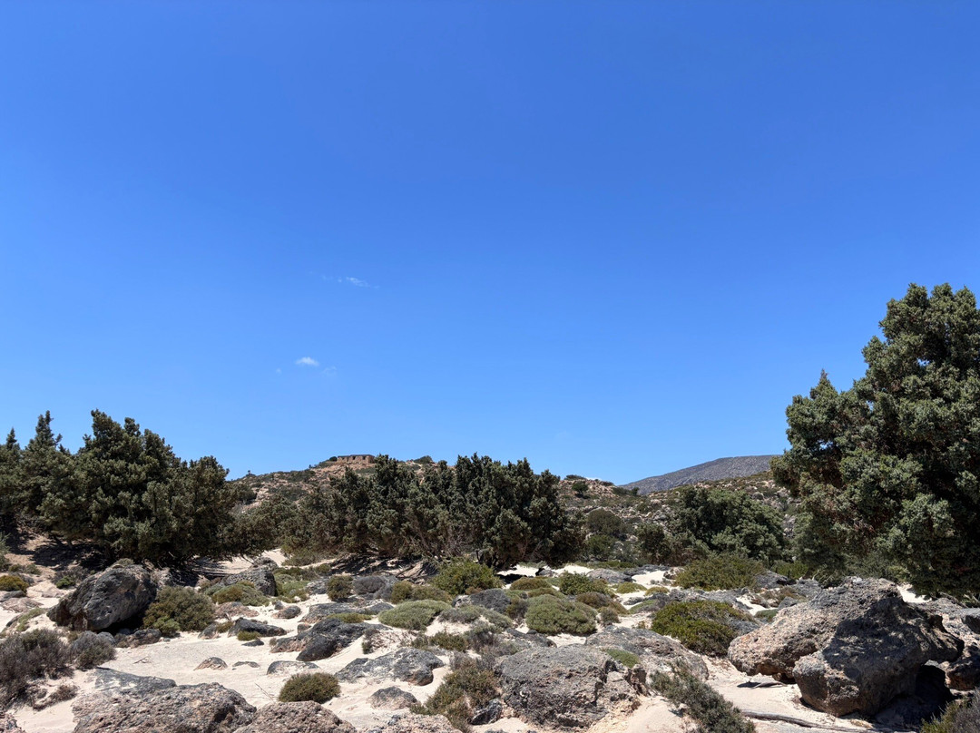 Kedrodasos Beach景点图片