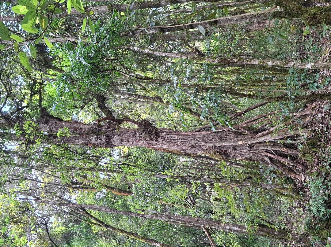 巍宝山道观-巍山彝族回族自治县必去景点