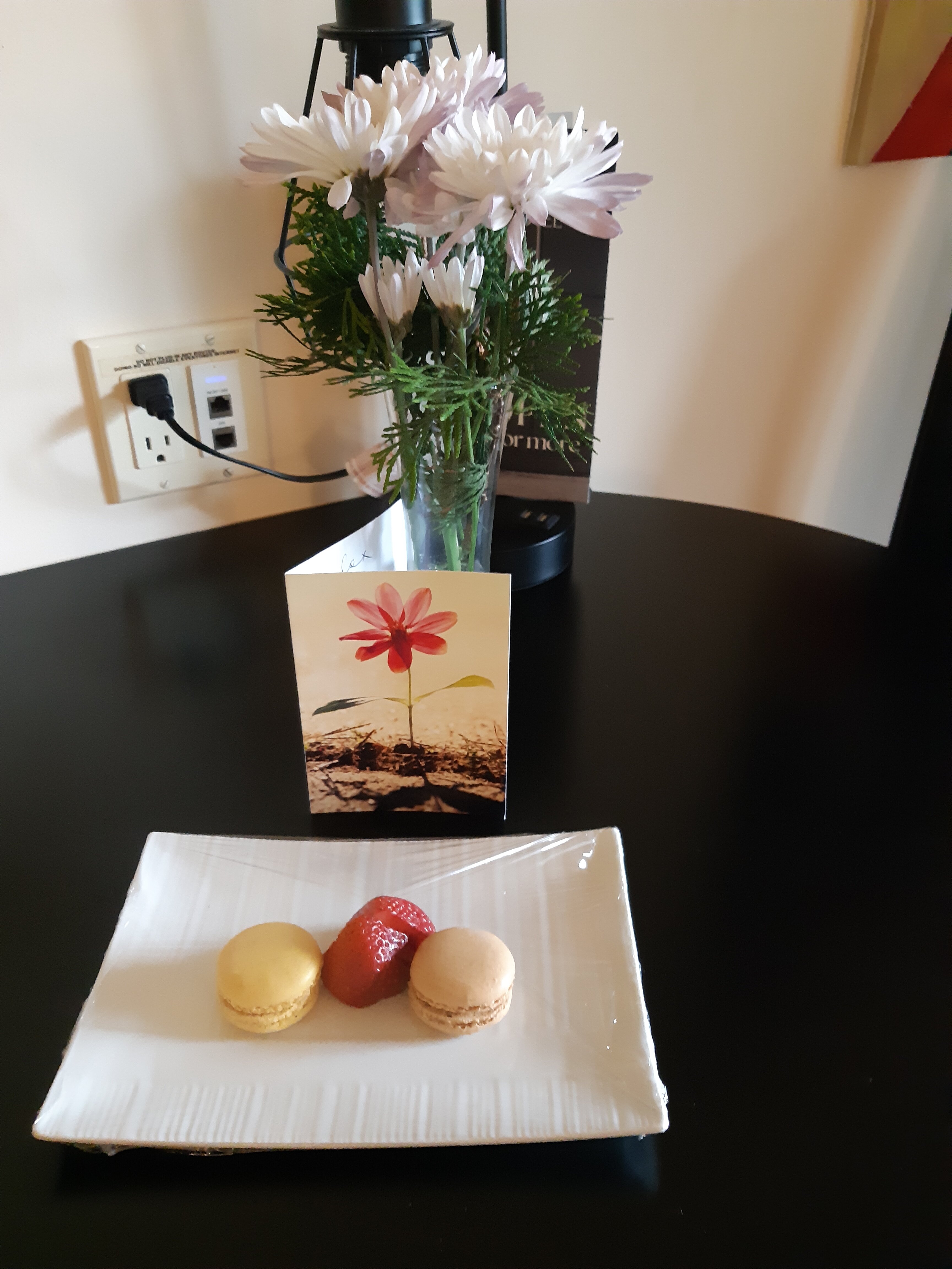 Samuels Boutique Hotel-客卧