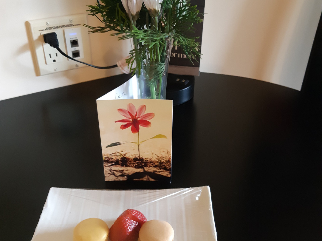 Samuels Boutique Hotel主图