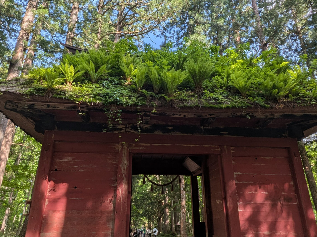 户隐神社-长野县必去景点