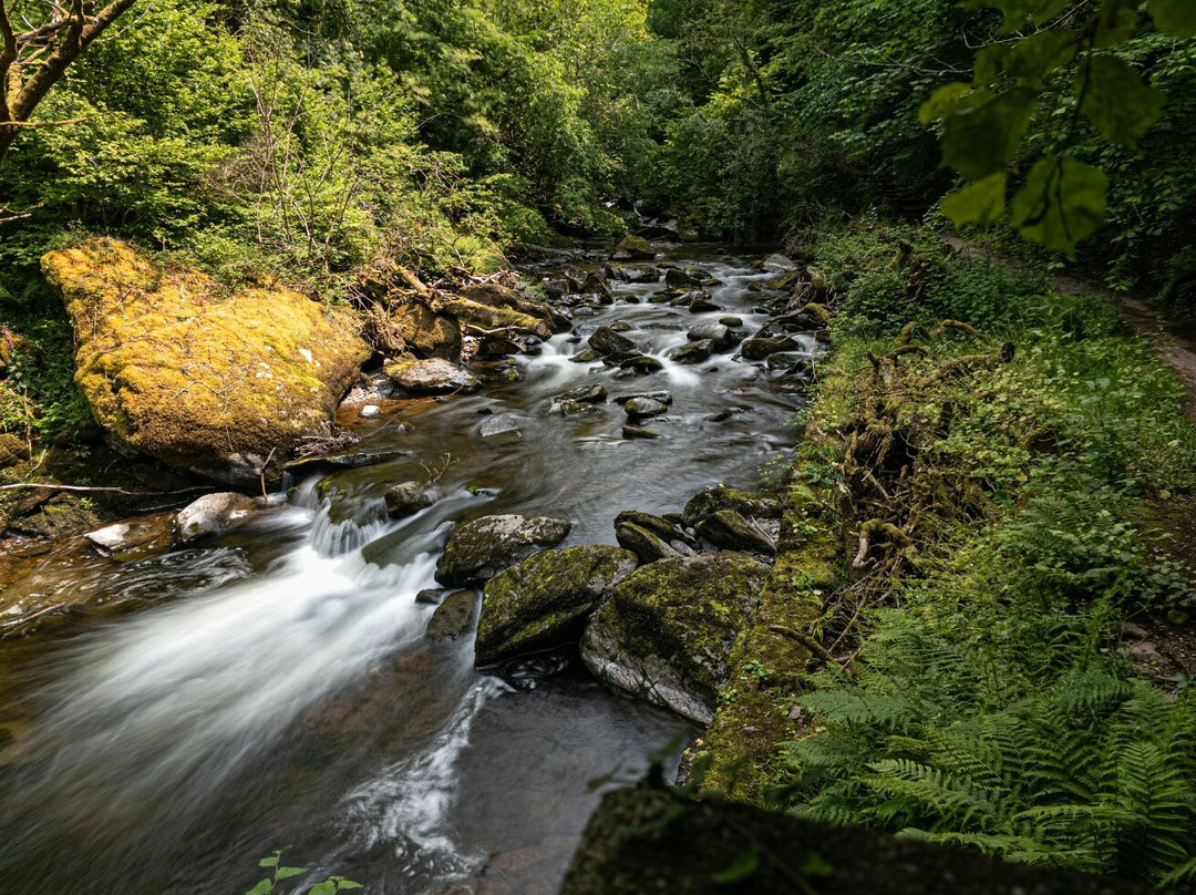 Watersmeet Trail景点图片