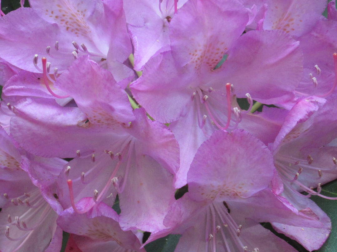 Armstrong-Kelley Park-Osterville必去景点