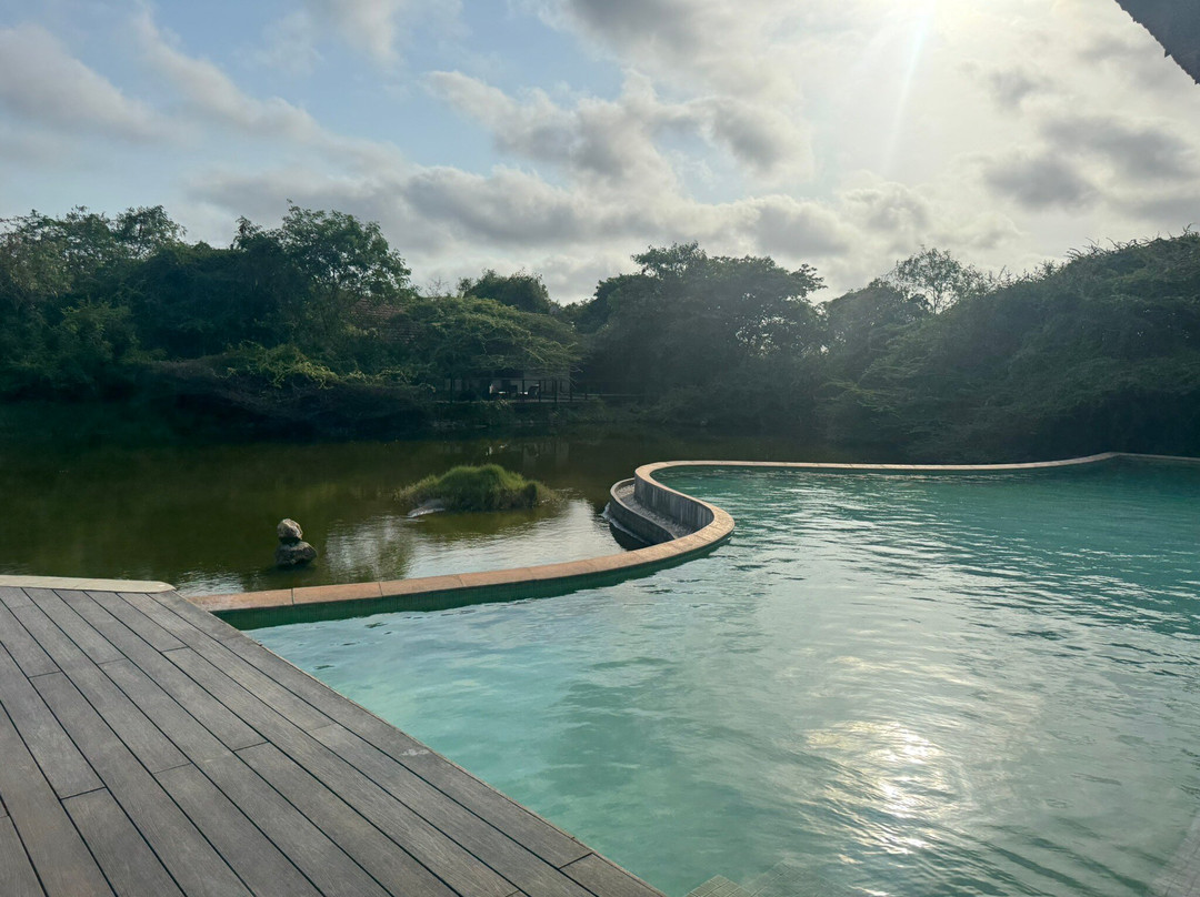 Palmyrah House Restaurant