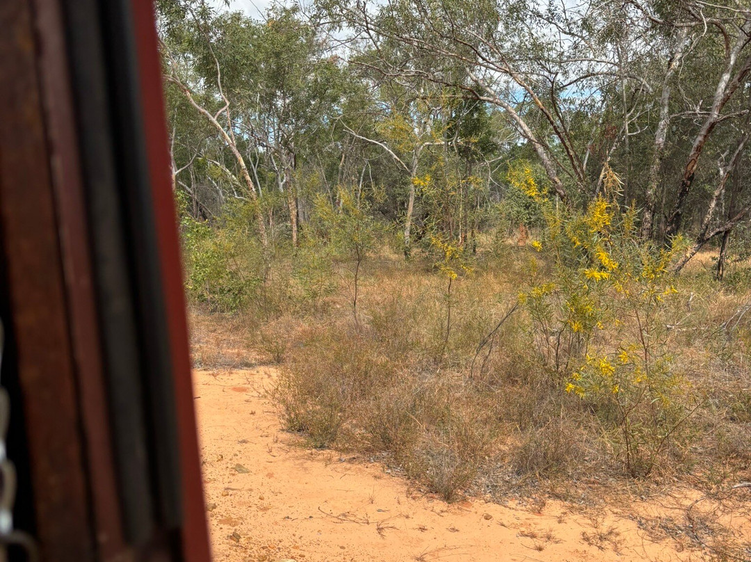 The Gulflander-Normanton必去景点