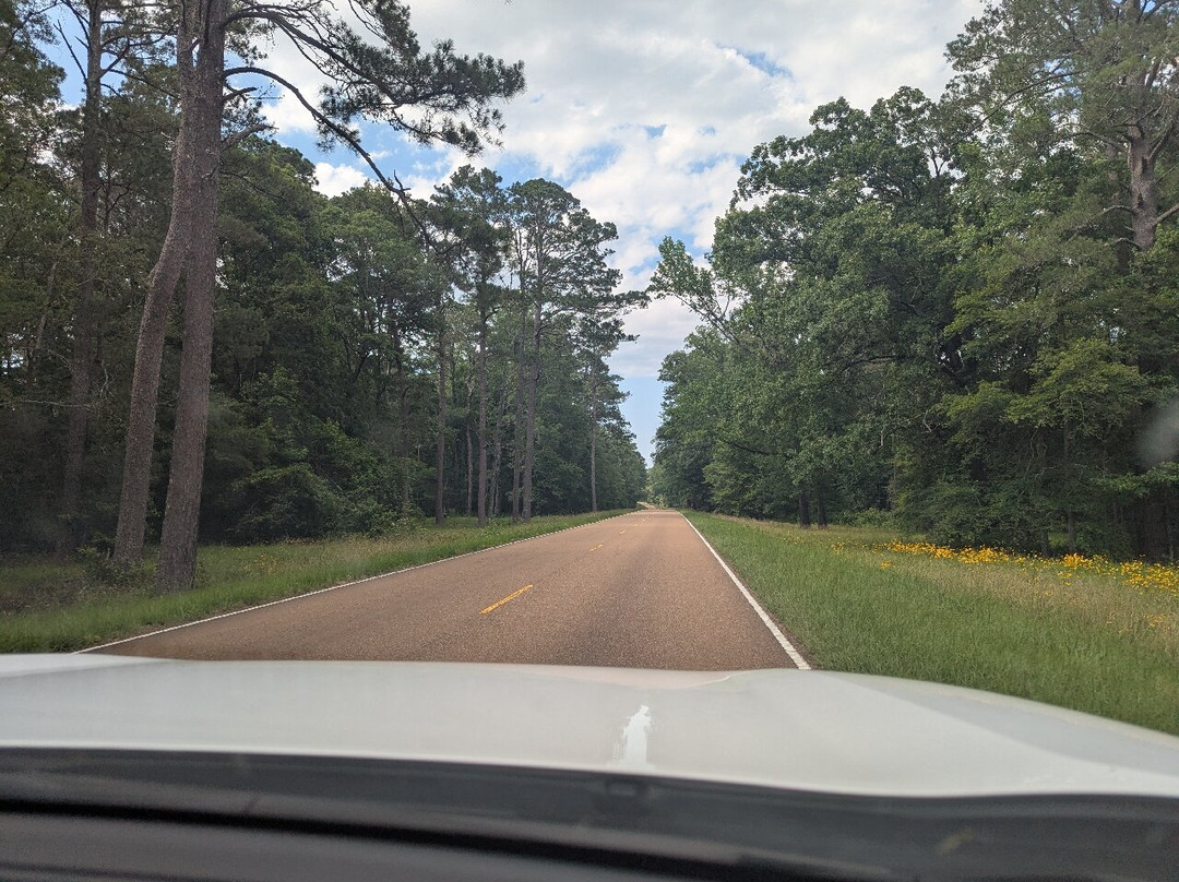 The Natchez Trace Parkway景点图片