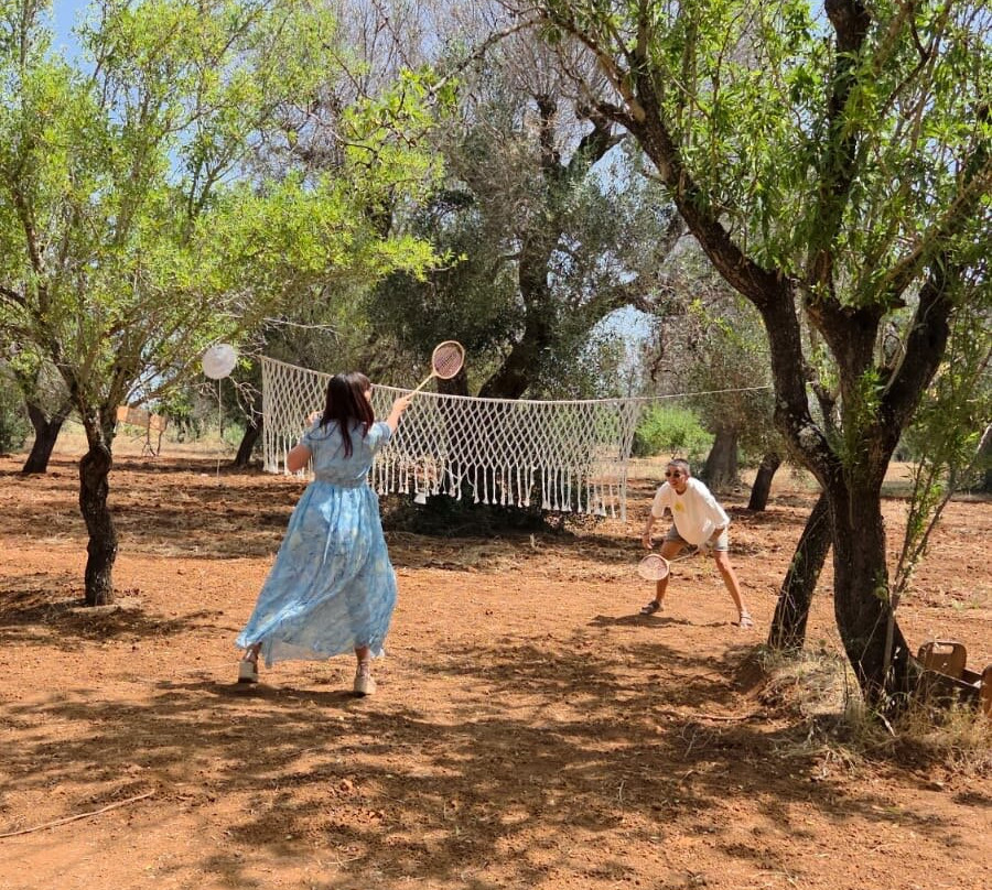 Olive Grove Experience景点图片