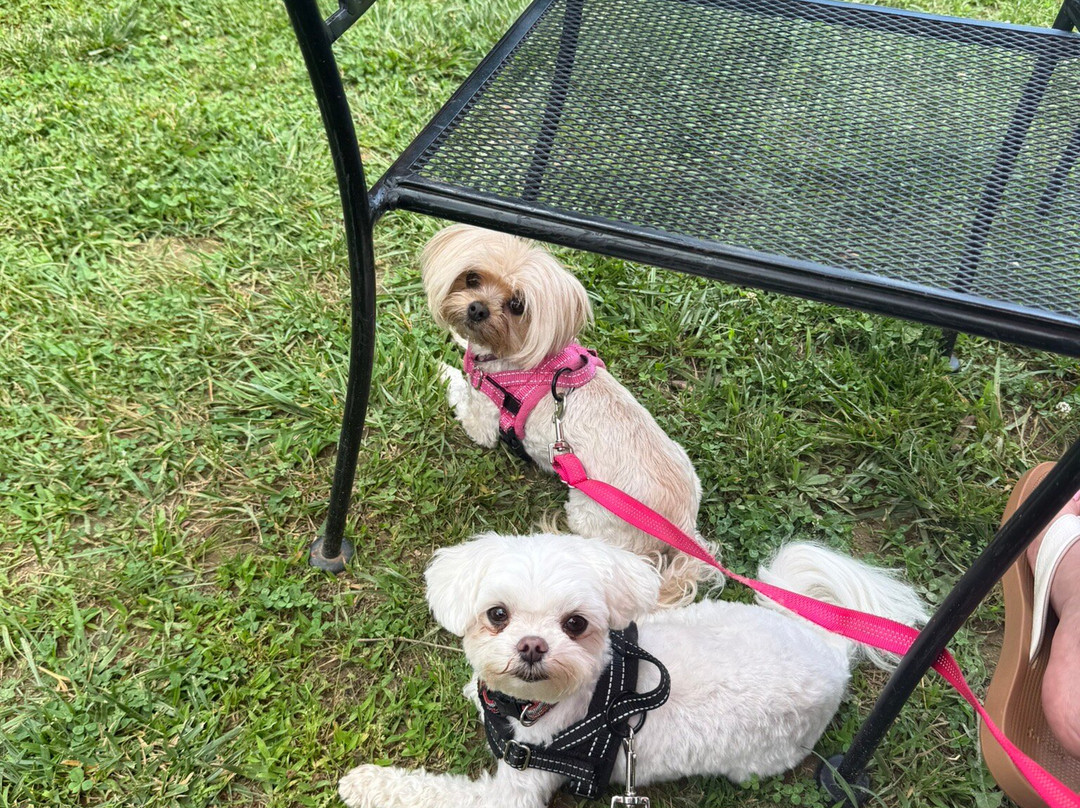 Running Hare Vineyard-Prince Frederick必去景点