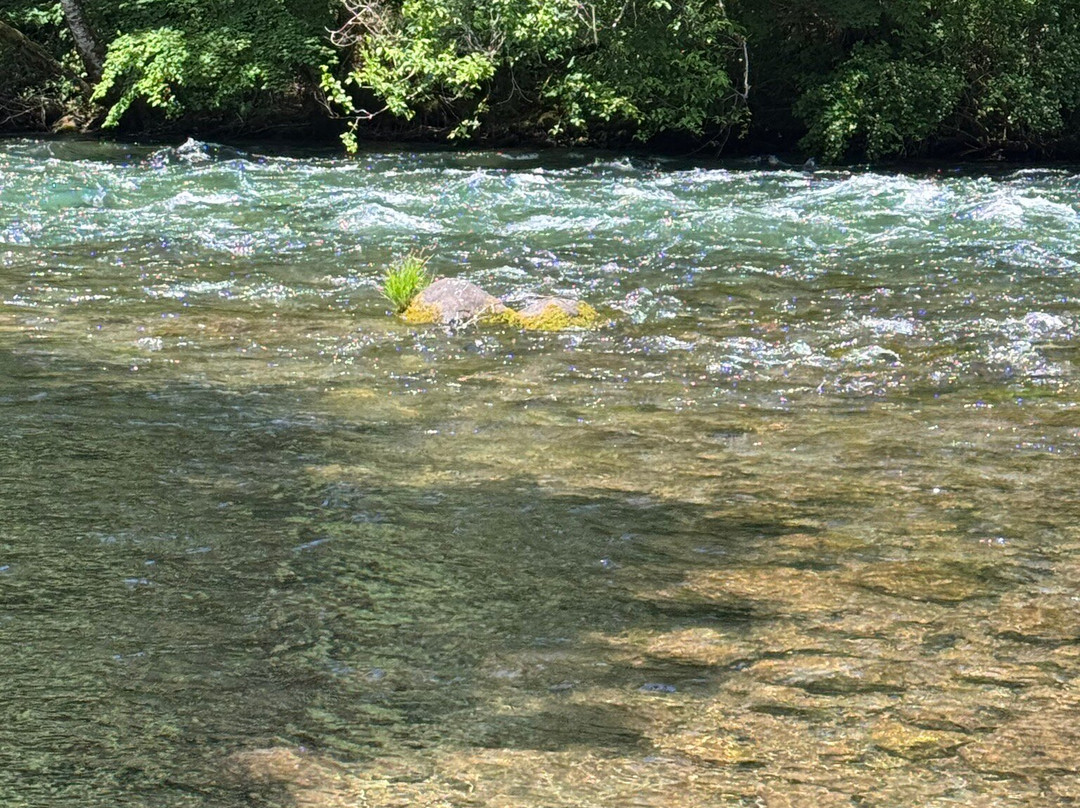 Oregon River Experiences-莱克奥斯韦戈必去景点