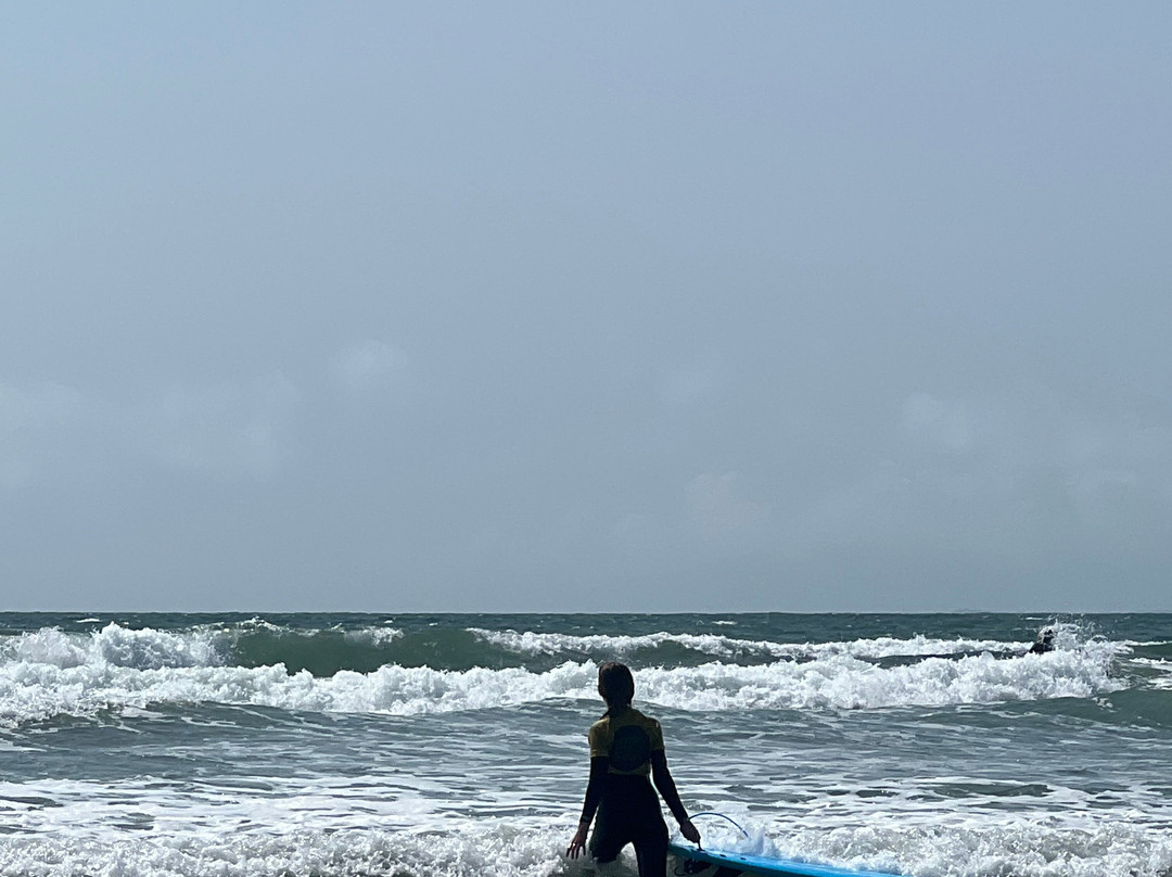Progress Surf School景点图片
