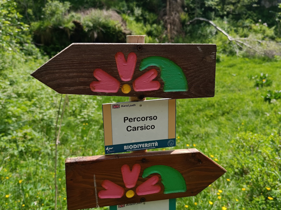 Giardino Botanico delle Alpi Orientali-Nevegal必去景点